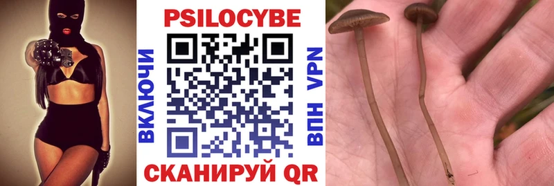 Галлюциногенные грибы Psilocybine cubensis  Купить где  Киров 